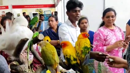 पेटएक्सपो-2023 : पक्षियों-जानवरों की अद्भुत प्रदर्शनी.. देखिए वीडियो...