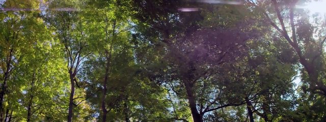 Watch Shortwave (2017) in HD | Stream Online Now 🎬