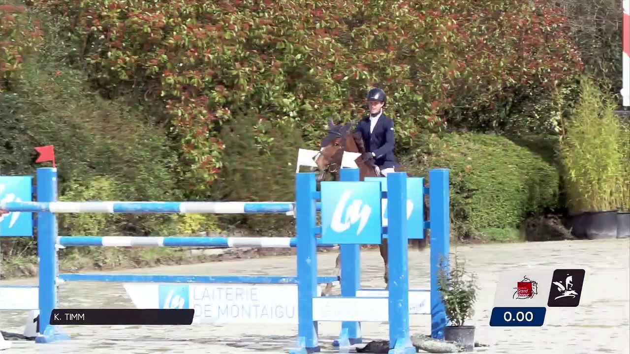 Grand National FFE - AC Print - CSO | Auvers (FRA) | Kyle TIMM | DIVA DU TEMPLE