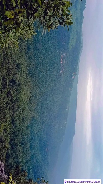Nature Beauty