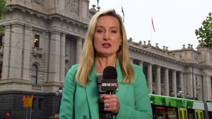 Victorian Liberals vote on MP's future over anti-trans rally