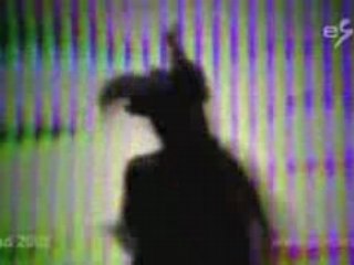 2008 Ireland - Dustin The Turkey (Videoclip)