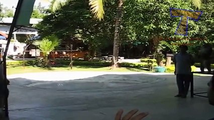 Funny animals playing sports - Cute animal compilation