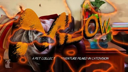 Katy Perry - Roar Parody - Kitty Purry - Meow