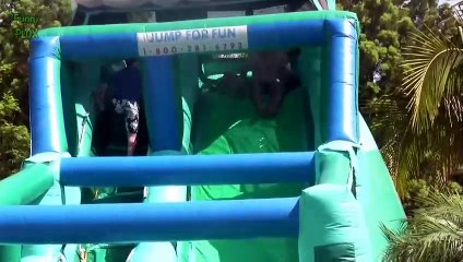 Funny Dogs on Water Slides Compilation 2014
