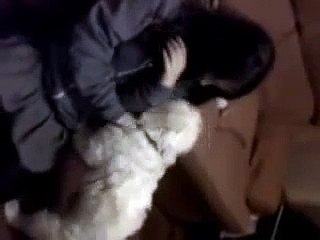funny girl gets molested by her dog