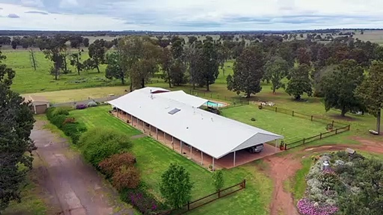 Glenfyne Farms, Narrandera, NSW March 27, 2023 video