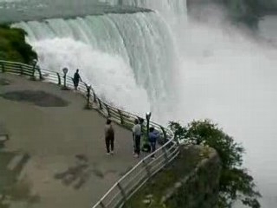Niagara 241
