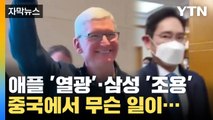 [자막뉴스] 열광하는 애플·조용한 삼성...중국에서 무슨 일이? / YTN