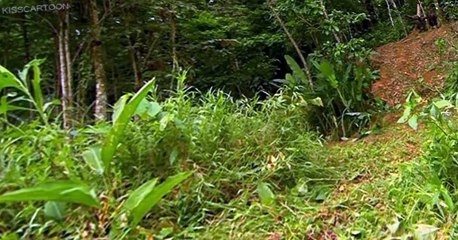 Dinosaur Planet Dinosaur Planet E002 Pod’s Travels