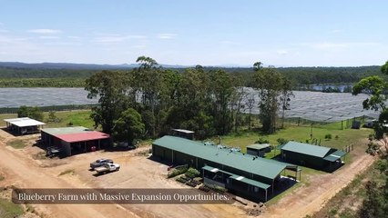 Grafton Blu Farm - Clarence Valley, NSW - March 27, 2023 - Farmonline