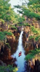 Louisiana Bayou-United States
