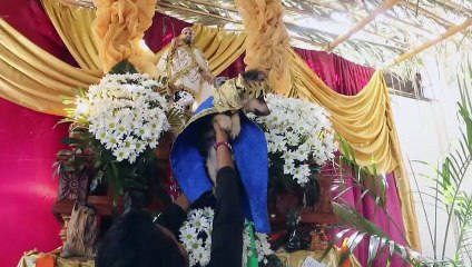 St. Lazarus Feast brings together hundreds of dressed-up dogs in Nicaragua