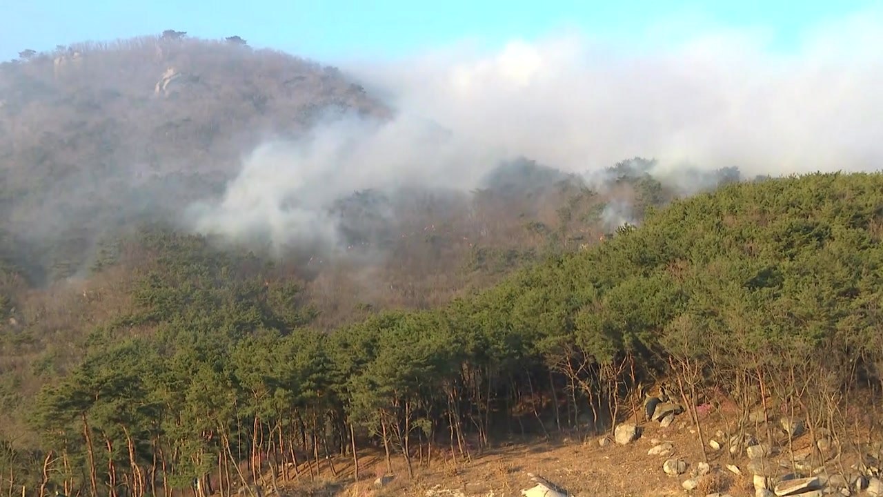 강화 마니산 산불 주불 진화 완료...경찰, 전담팀 구성 / YTN