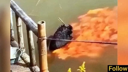 Amazing and Strange things in the world that will blow your mind! Must watch