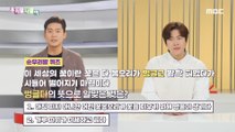 [KOREAN] Pure Korean Quiz - 몽글다/옹글다,우리말 나들이 230327