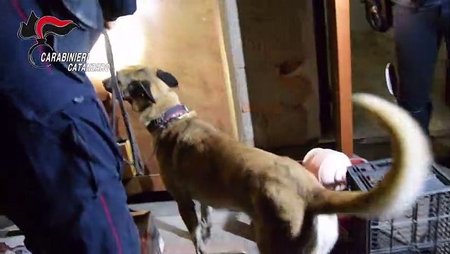 Spaccio in luoghi pubblici a Soverato, 10 arresti. Coinvolta anche Reggio Calabria