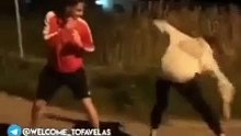 Short Funny Compilation (78)