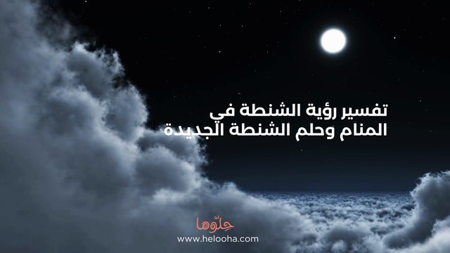 تفسير رؤية الشنطة في المنام وحلم الشنطة الجديدة