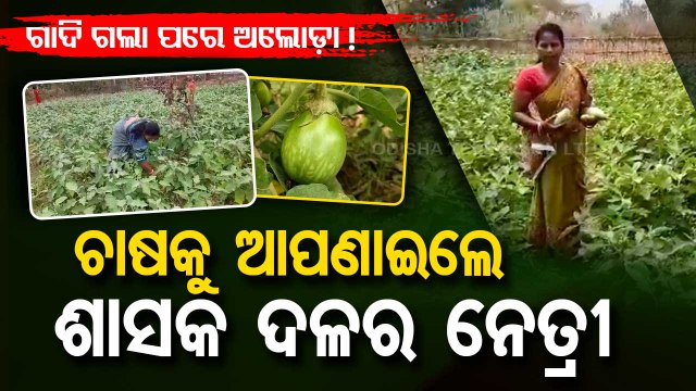 Former BJD politician Kamalini Patra adopts farming after political career