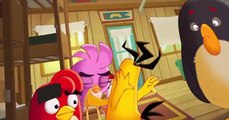 Angry Birds: Summer Madness Angry Birds: Summer Madness E002 Hospital Sweet