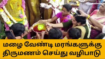 திருப்பூர்: மழை வேண்டி கிராம மக்கள் வழிபாடு-பெரும் அதிர்ச்சி தகவல்!