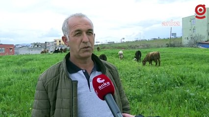 İslahiye’de besicilik yapan Bayram Polat: İslahiye’nin yüzde 80 geçimi çiftçi, hayvancılık üzerine, bitti yani, ilçe olarak bitti