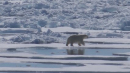 "지구 온도 1.5℃ 상승 불가피"...기술 문제 해결되면 한국이 유리 / YTN