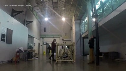 Orca whale skeleton to go on display