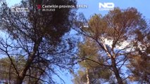 Trockener Winter: Erster Waldbrand wütet in Spanien