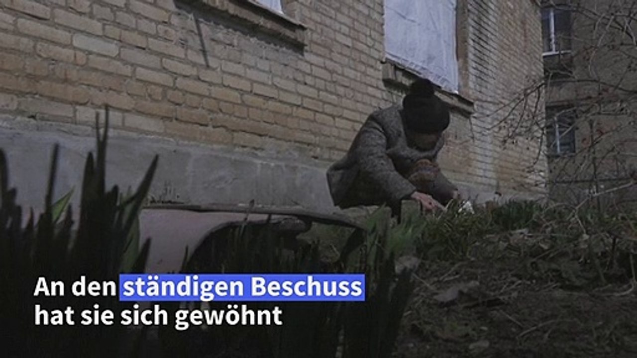 Gärtnern unter ständigem Beschuss in der Ostukraine
