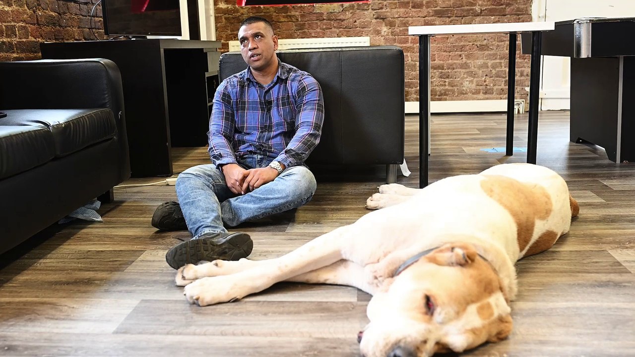 'My pet dog is so big - people mistake him for a pony or a lion'