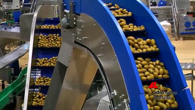 Contratto di sviluppo, l’esperienza di F.lli Saclà