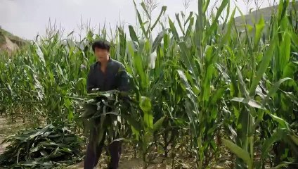 R3n Sh3ng Zhi Lu EP11 Eng Sub