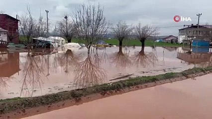 Elazığ’da sağanak yağışın vurduğu beldede hayvanlar telef oldu