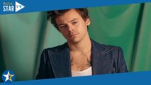 Harry Styles en couple avec Emily Ratajkowsi ? Les deux stars surprises en train de s’embrasser !