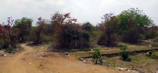 जंगल क्षेत्र से हाईवे निकलने के बाद वन विभाग ने नहीं कराई अपने क्षेत्र में तार फेंसिंग