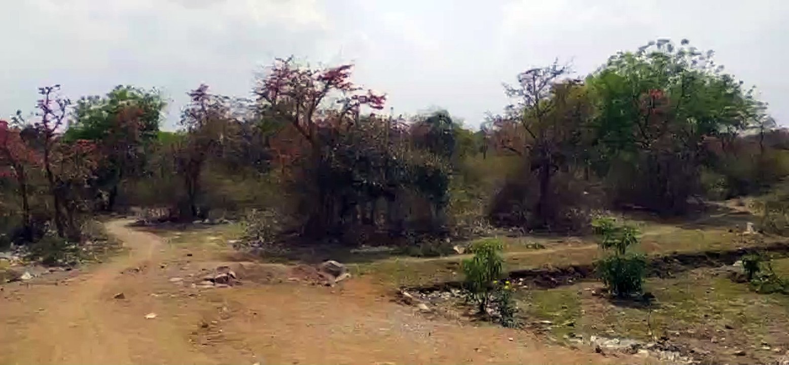 जंगल क्षेत्र से हाईवे निकलने के बाद वन विभाग ने नहीं कराई अपने क्षेत्र में तार फेंसिंग