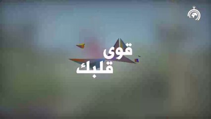 برنامج قوي قلبك الجزء الثاني الحلقة 3