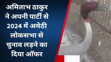 अमेठी: आरिफ पर गरमाई राजनीति, पूर्व आईपीएस ने अपनी पार्टी से चुनाव लड़ने का दिया ऑफर