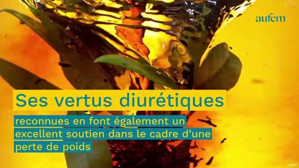 Voici les épices brûle-graisse à mettre dans votre thé pour mincir, selon une naturopathe