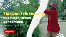 Tip Dan Trik Mancing Nilem Dan Tawes Bersamaan