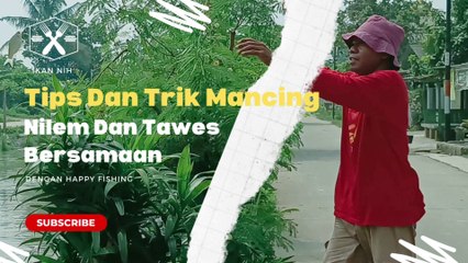 Tip Dan Trik Mancing Nilem Dan Tawes Bersamaan