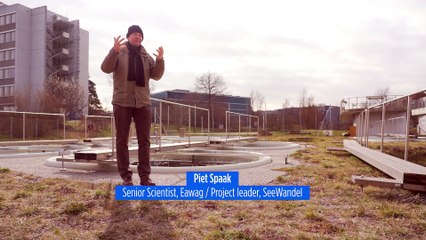 Perché gli scienziati sono preoccupati per l'ecosistema del lago di Costanza?