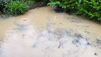 Clifton water