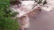 Chuvas causam pontos de alagamentos na CE-166, em Senador Pompeu; Município decreta estado de calamidade