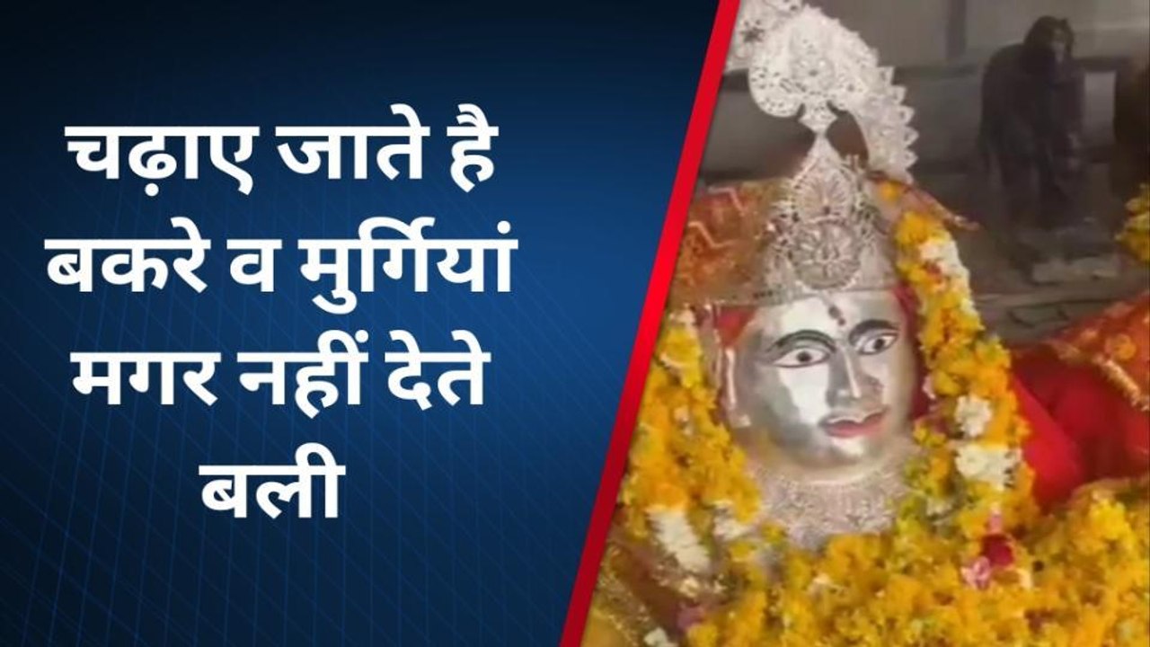 एक ऐसा मंदिर जहां मुराद पूरी होने पर चढ़ाए जाते बकरे व मुर्गिया,बलि के बाद भी रहते हैं जिंदा