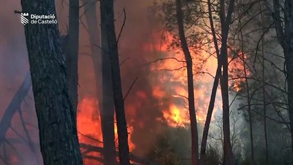 Sánchez se compromete a reconstruir las zonas afectadas por el incendio de Castellón