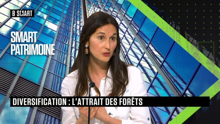 Diversification : l'attrait des forêts 