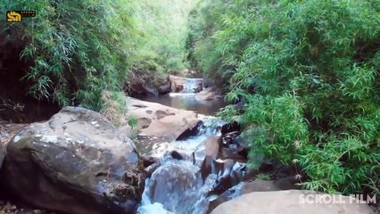 Mama T1r1 Kesepian dan Aku Pasrah